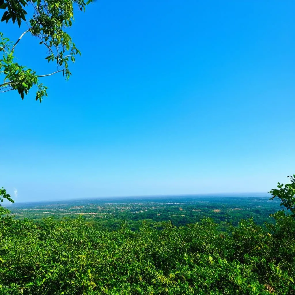 Phong cảnh đẹp ngoài trời