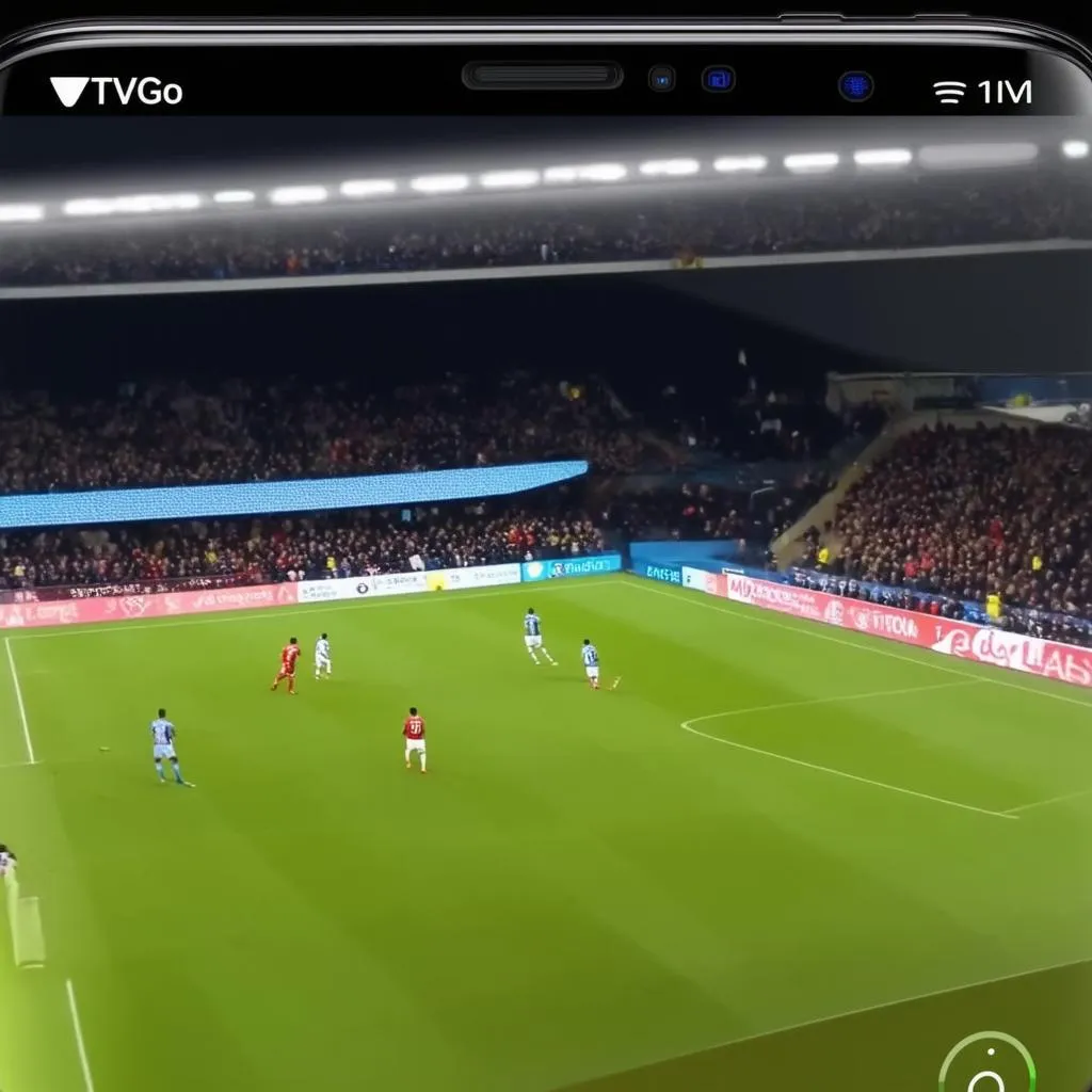 Fotbal live VTV online: Ghidul fanului